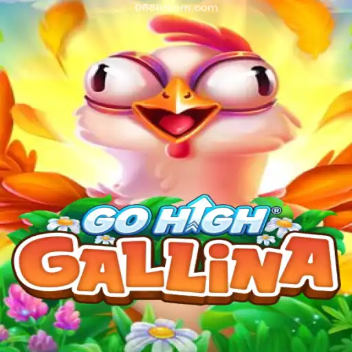 Exploring GoHighGallina: The Thrilling New Release in Online Casinos