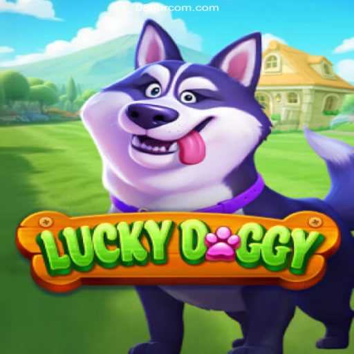 Exploring LuckyDoggy: The Thrilling Features of the Best Brazilian Online Casino Experience